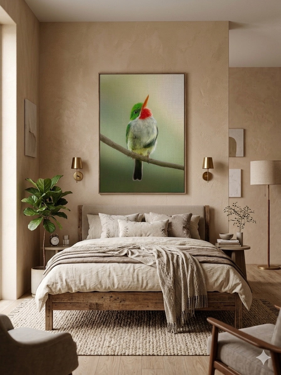 Todus mex Canvas