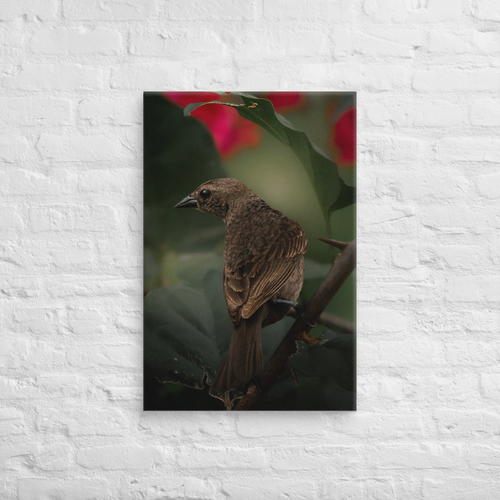 "Rustic Serenity" (20x30)